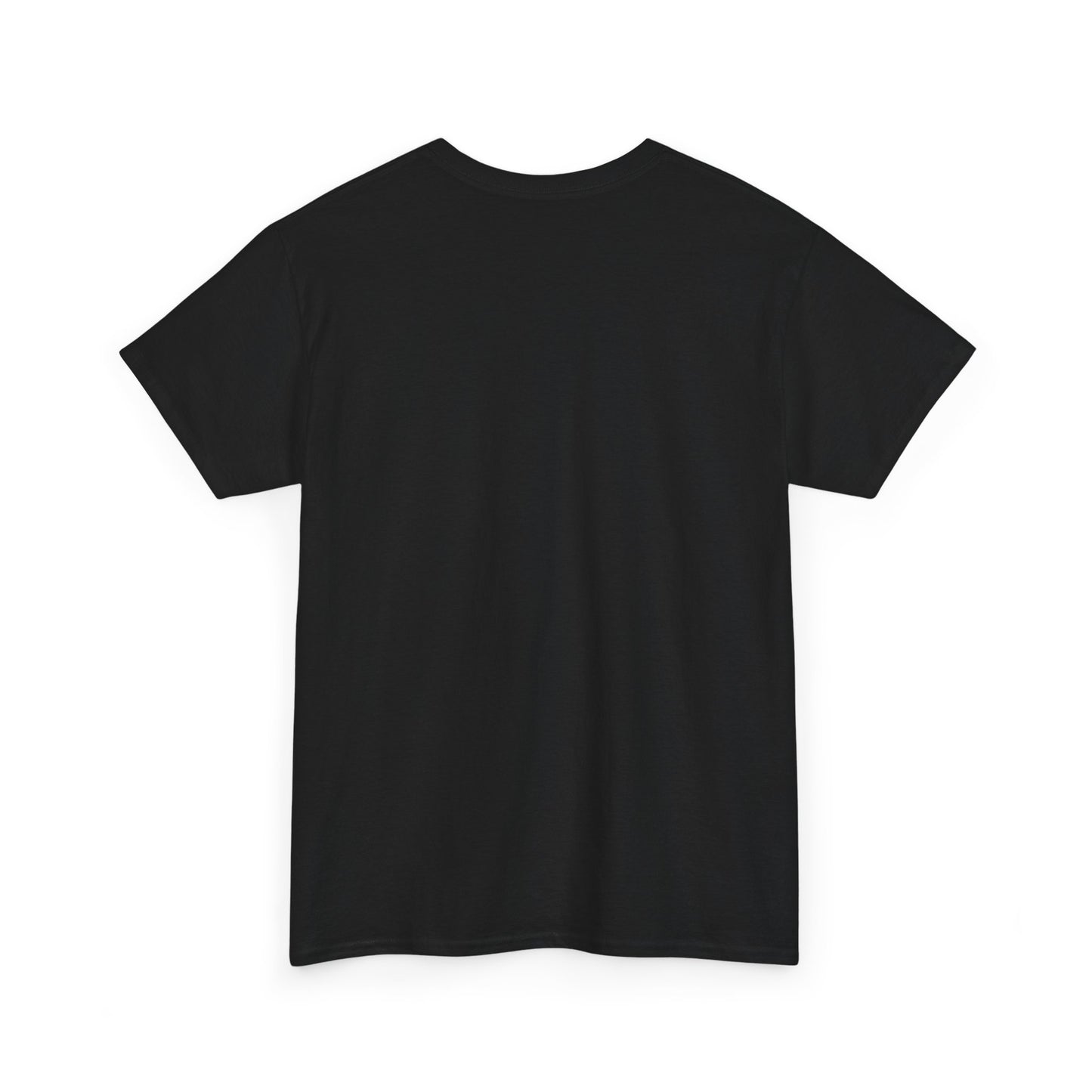 We Back Sis Unisex Heavy Cotton Tee, Casual Wear, Gift for Sisters, Birthday Gift, Family Reunion, School Cute Graphic Tee